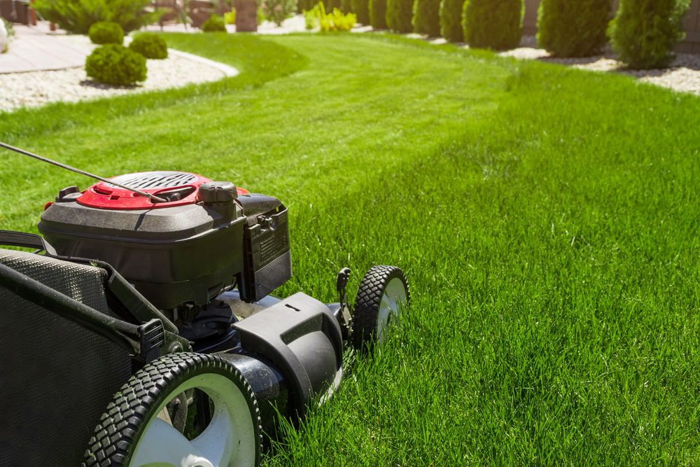 Dean's lawn best sale mower service